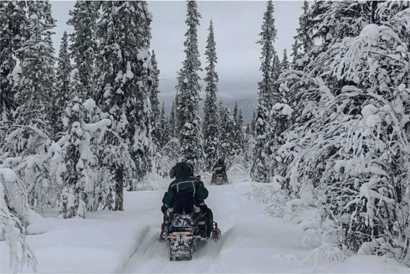 Arctic Expedition