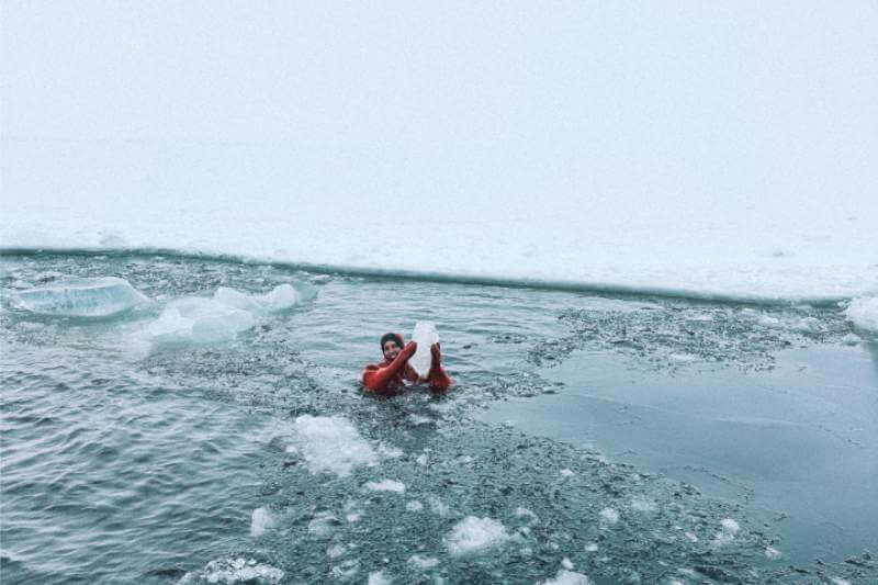 Arctic Expedition